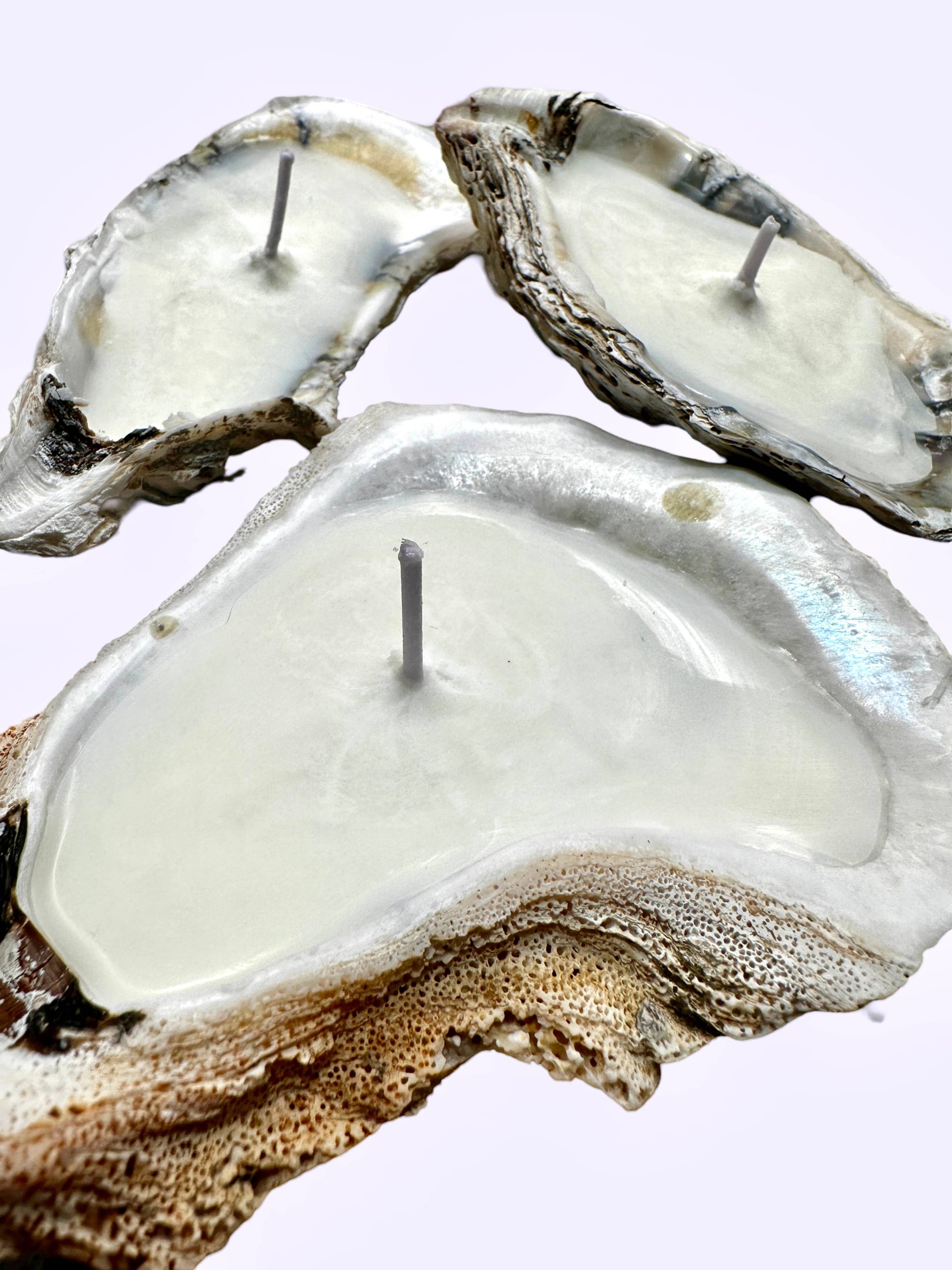 Martini Candle Co. - Oyster Shell Candle Handmade Beeswax Soy : High T