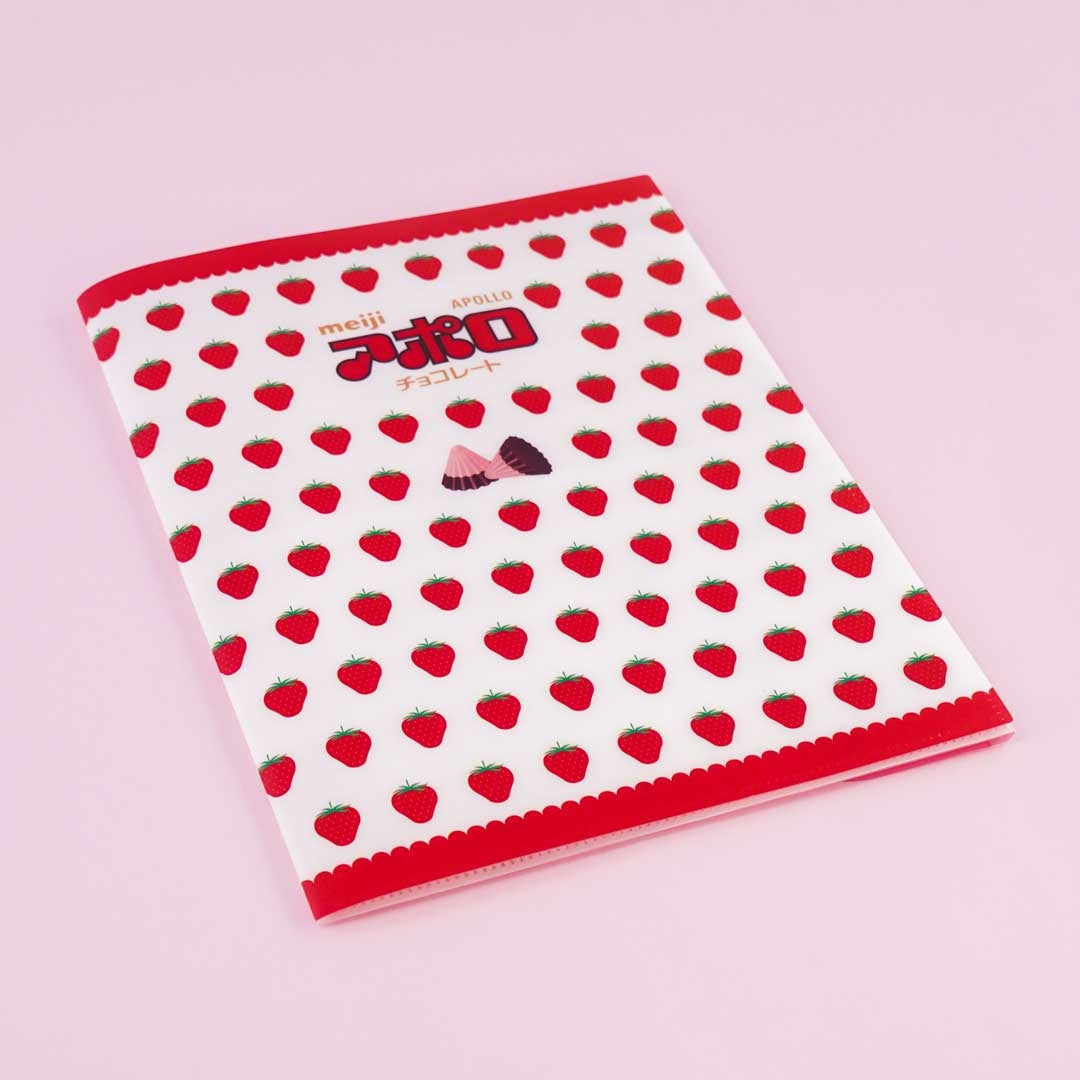 Apollo Chocolate Clear Pocket Case File