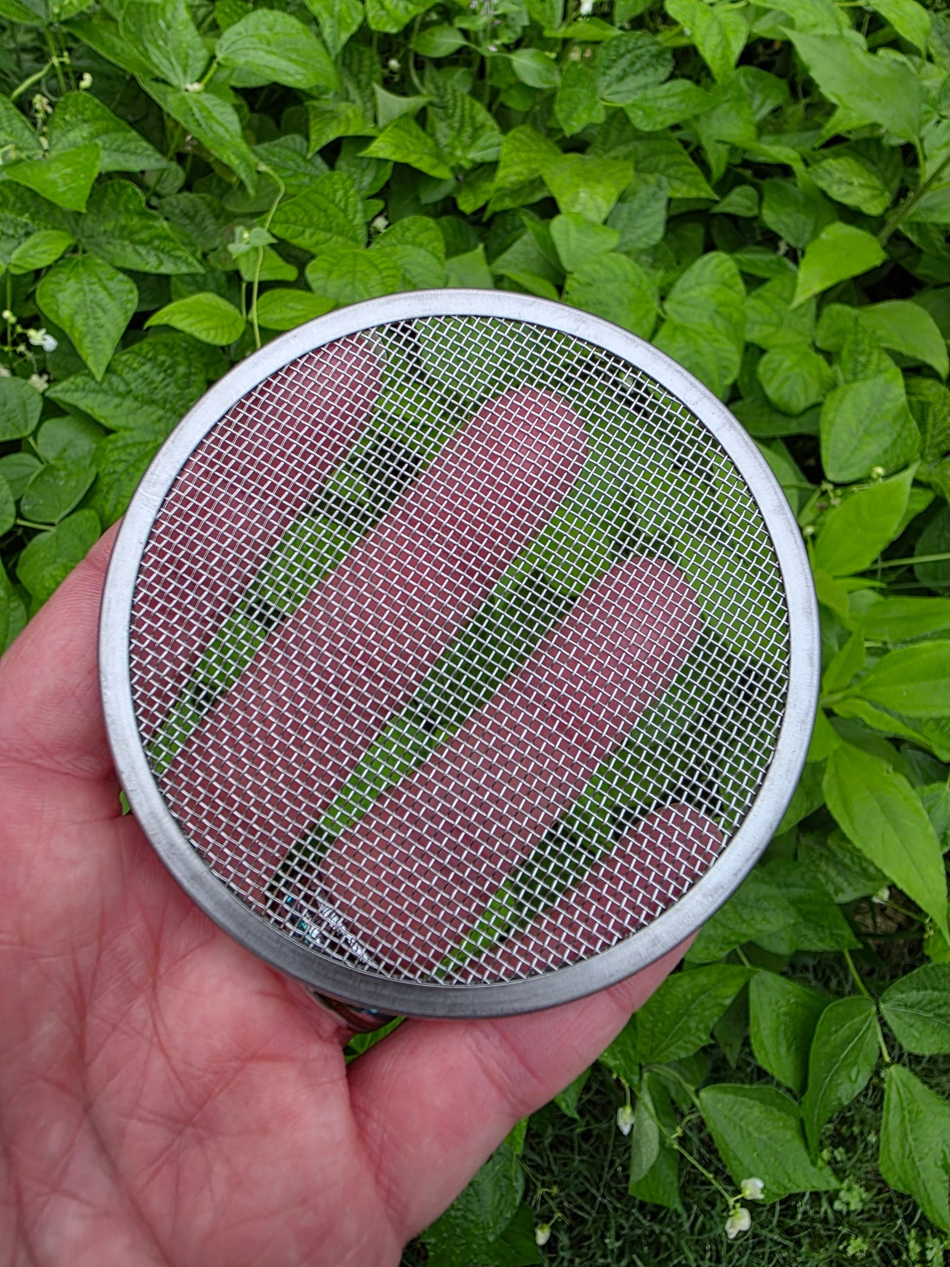Sprouting Screen