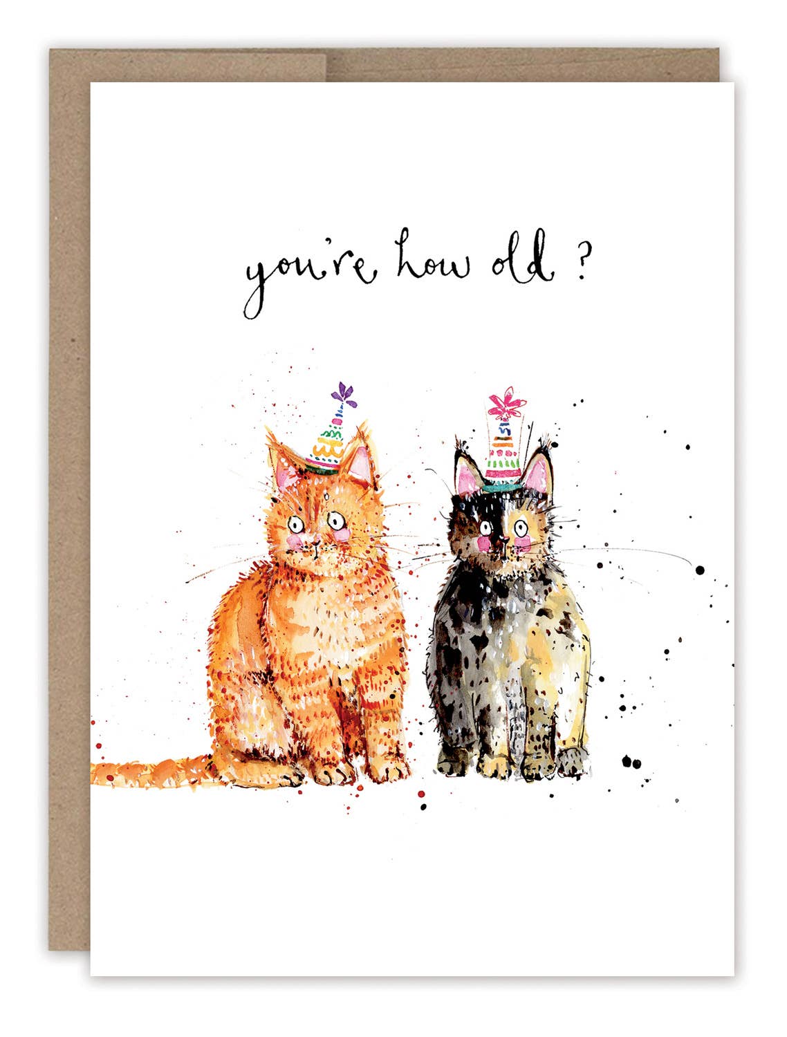 Biely & Shoaf - Cats You're How Old? Birthday Card