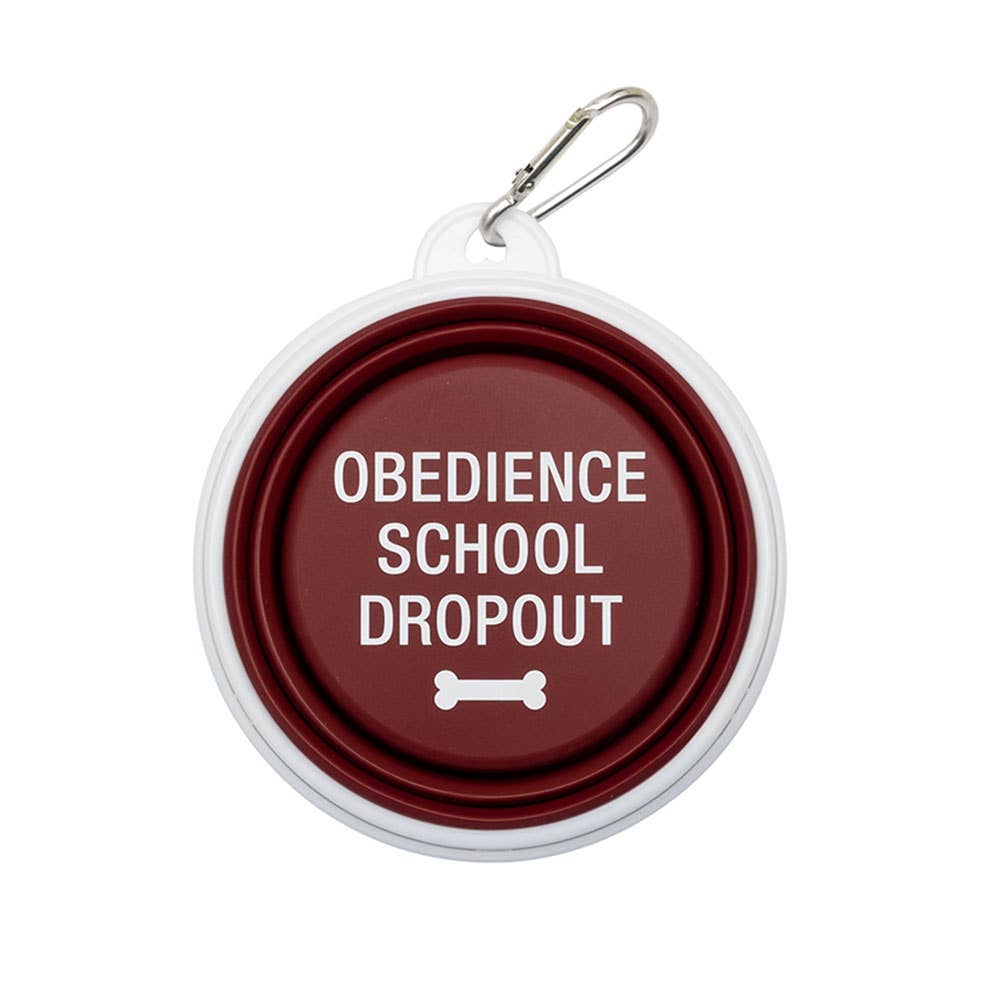 About Face Designs, Inc. - Dropout Silicone Dog Bowl