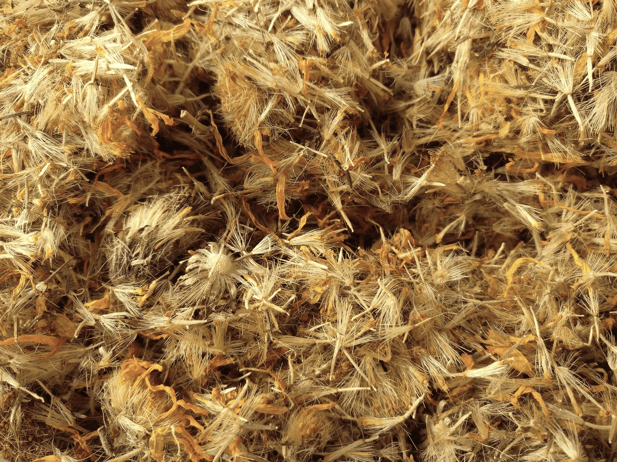 Arnica Flowers, Whole