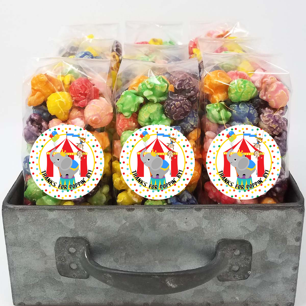 Circus Theme - Popcorn Party Favor Bags