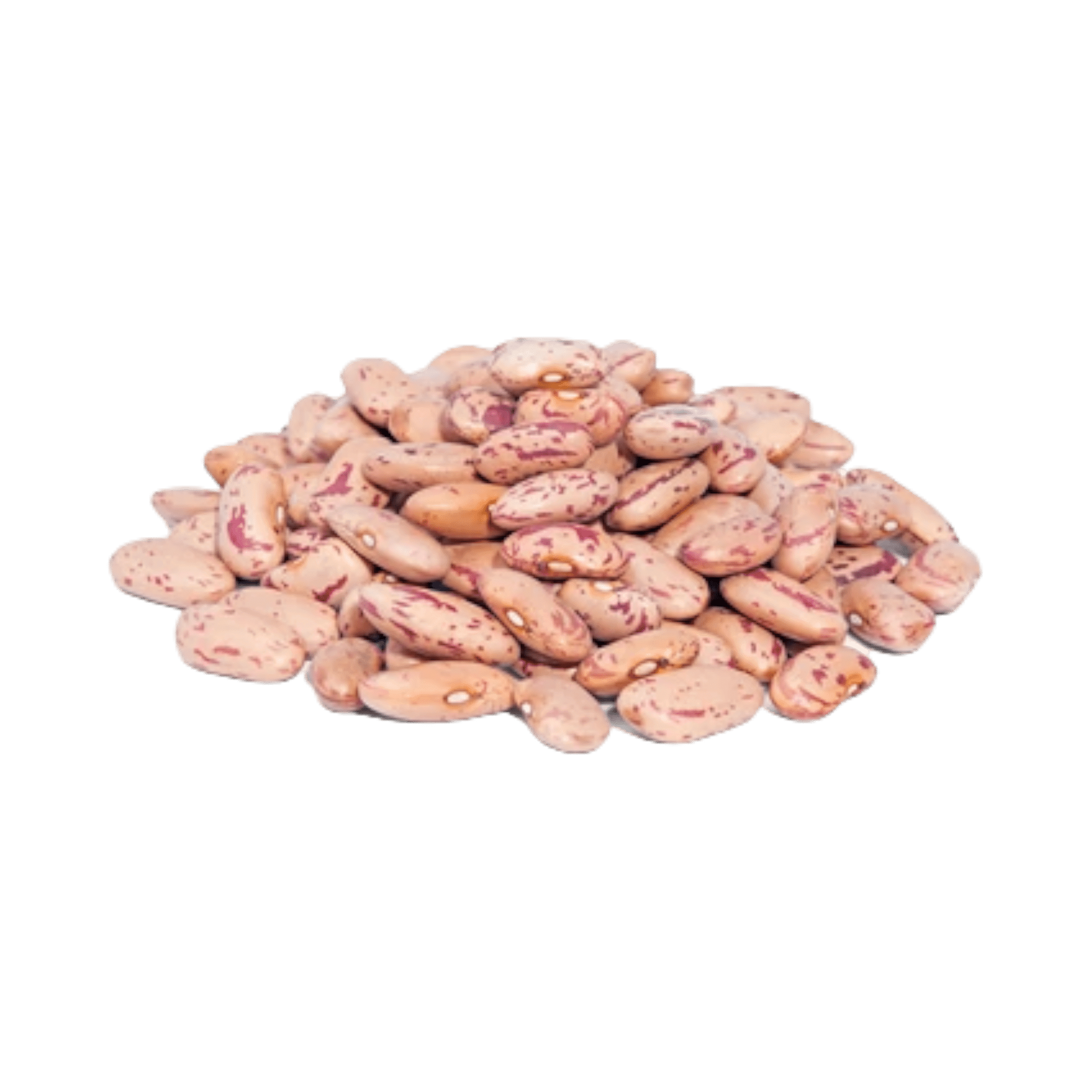 Cranberry Beans Dry