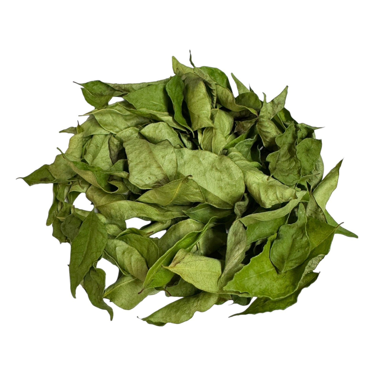 Buy Dried Curry Leaves Online | Aromatic & Flavorful
