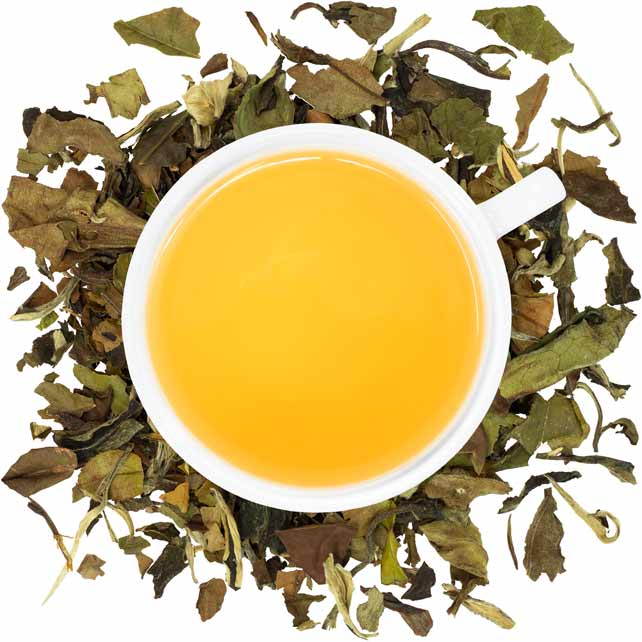 Organic Pai-Mu-Tan Bulk (by the pound)