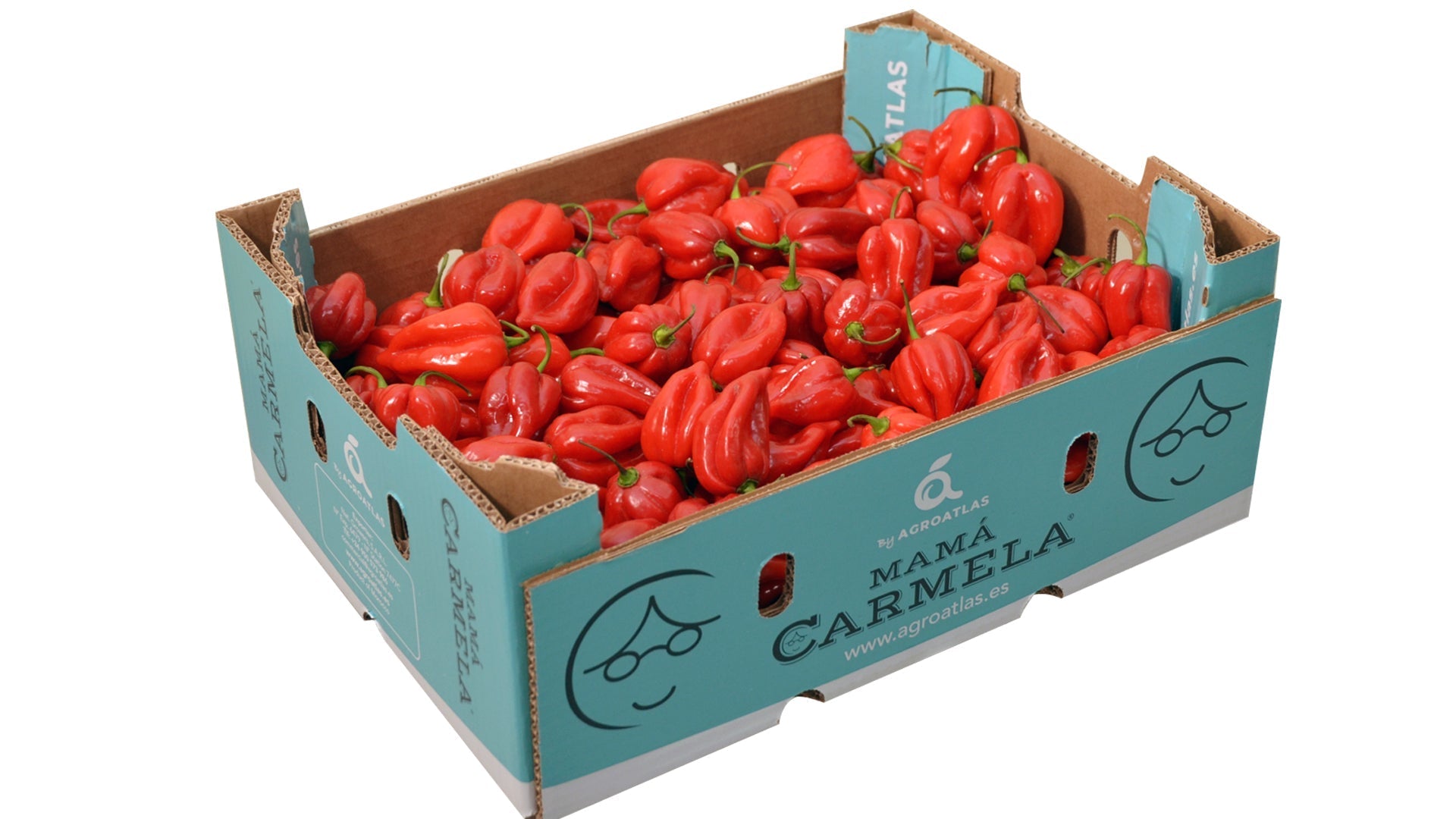 Red Habanero Pepper - Fiery Hot Flavorful Delight