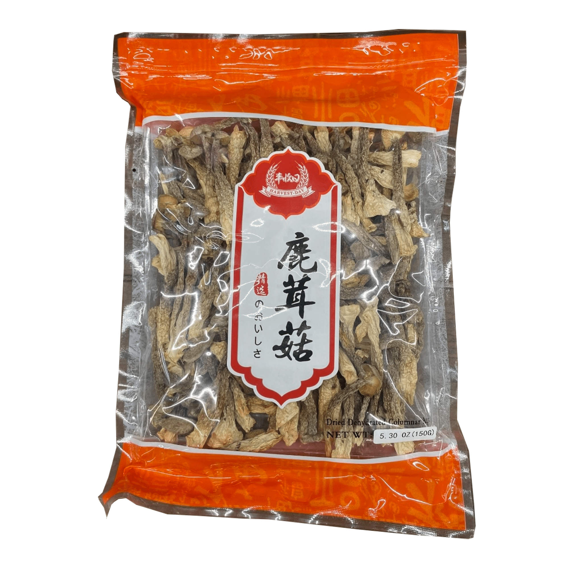 Harvest-Day Velvet Antler Mushroom