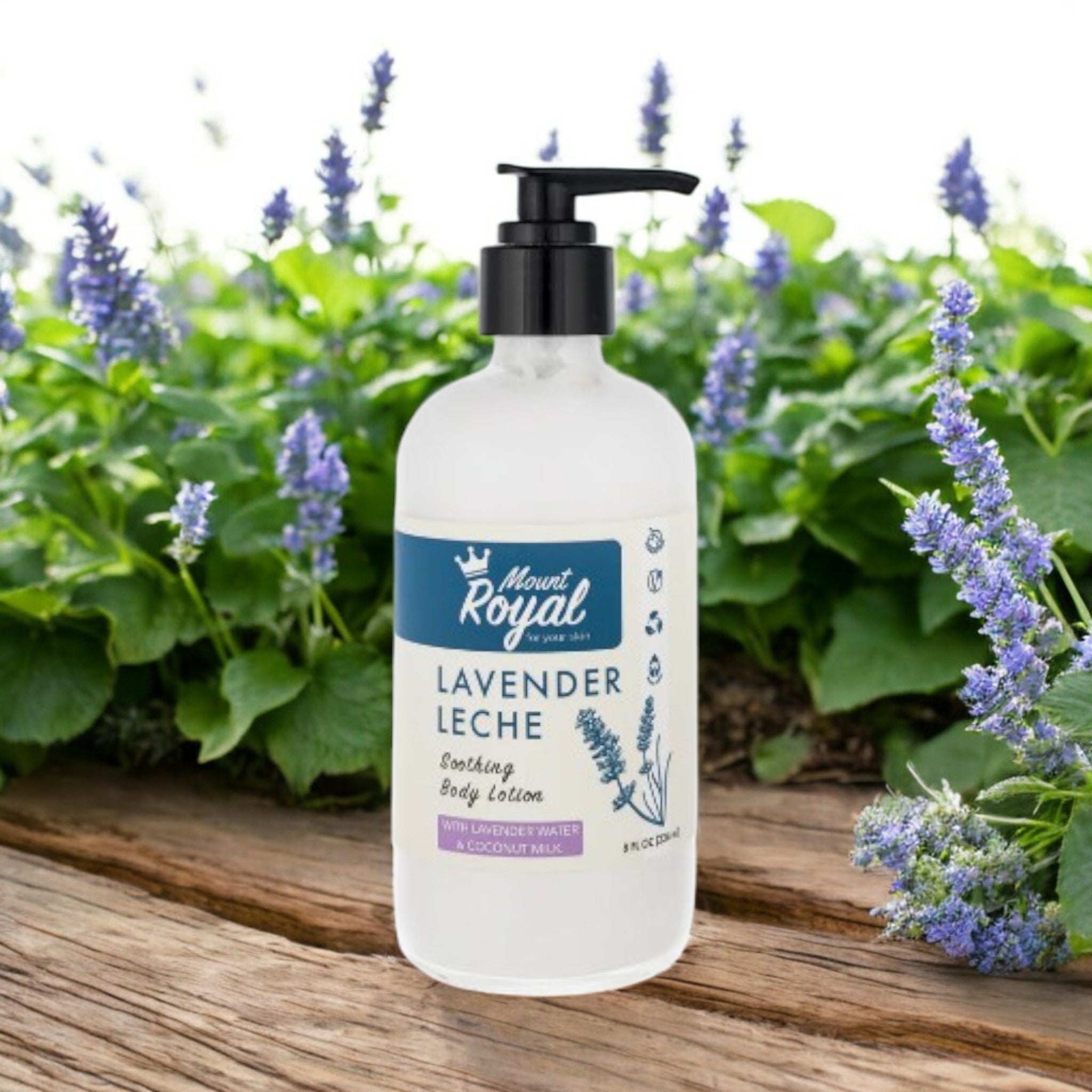 Lavender Leche - Lavender Water & Coconut Milk Body Lotion
