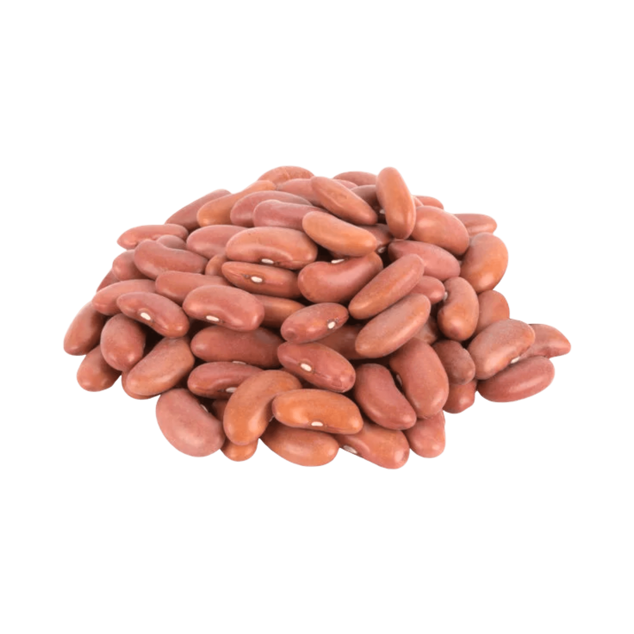 Light Red kidney beans Dry