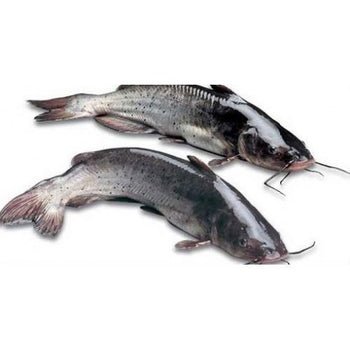 Whole Cleaned Catfish | Fresh & Ready for Delicious Meals