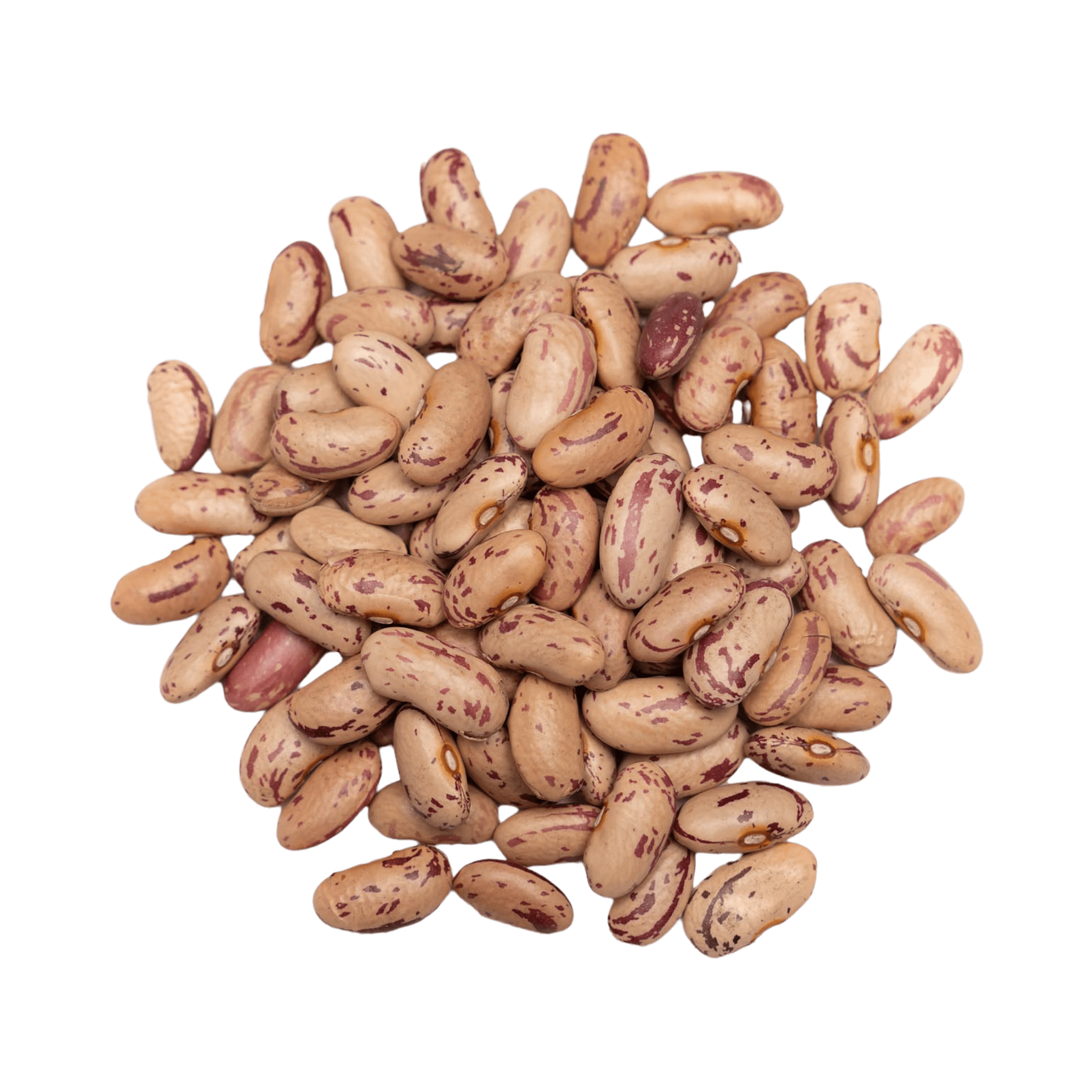 Pinto Beans Dry