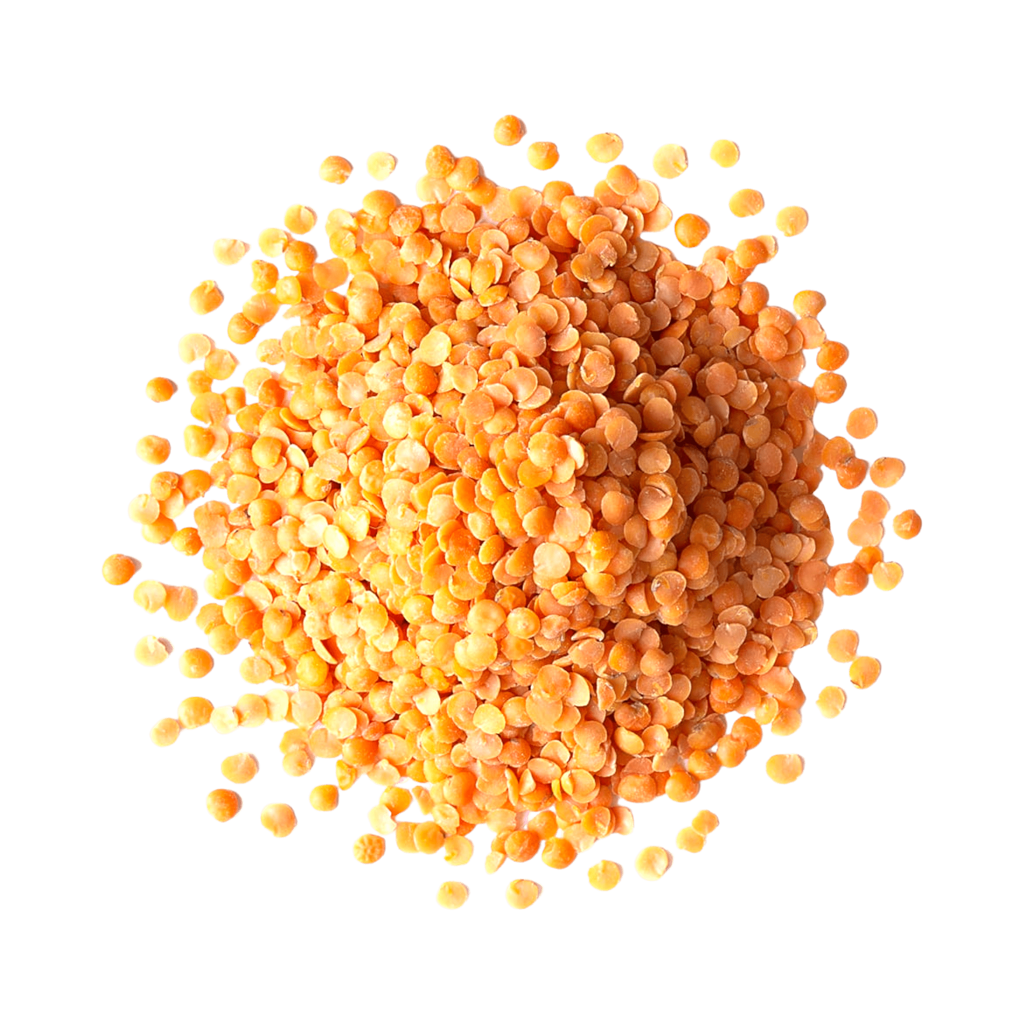 Red Split Lentils 1.8 LB