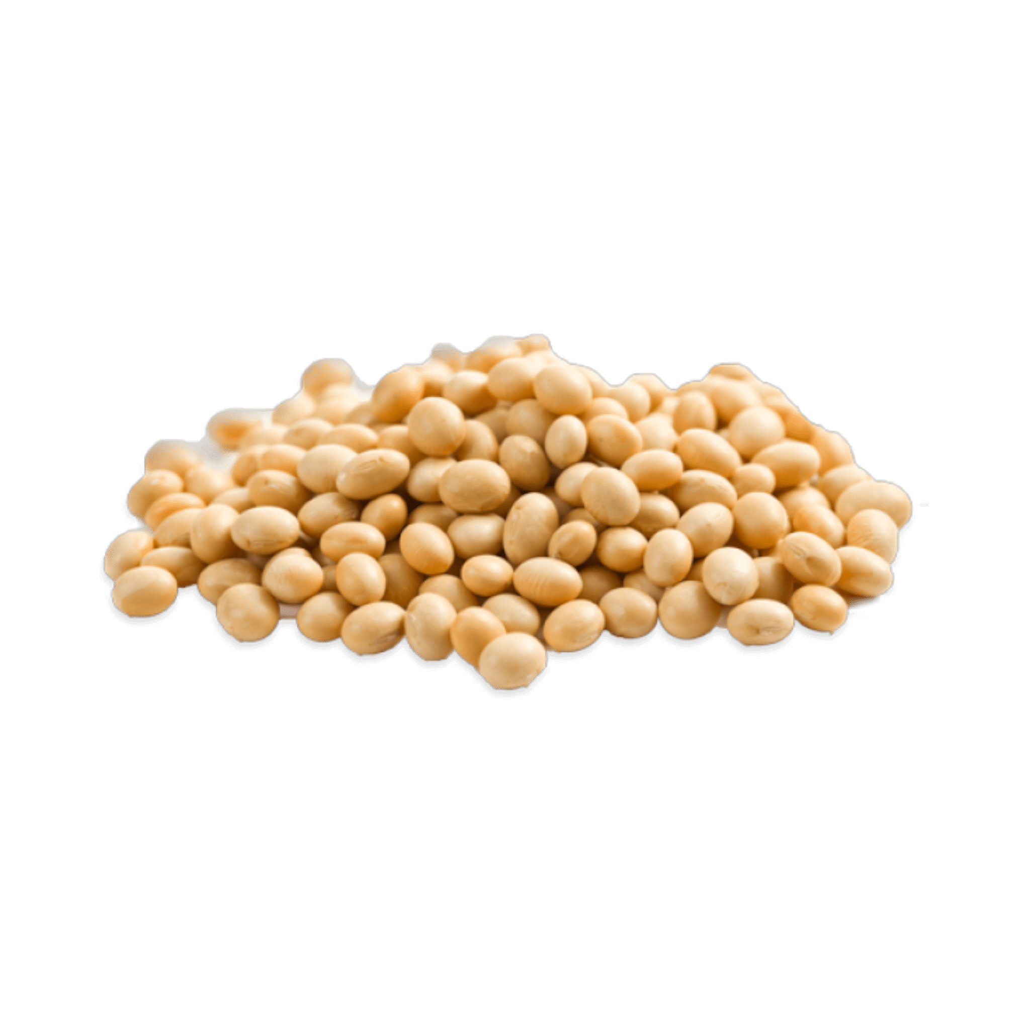 Soy Beans Dry