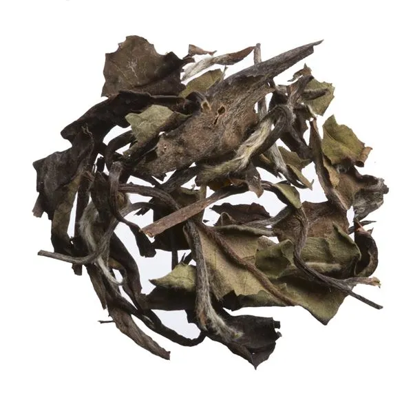 Special Grade Shou Mei White Tea