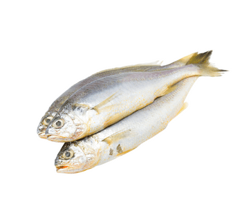 Whole Croaker | Pack of 4 - Fresh & Flavorful Seafood Delicacy