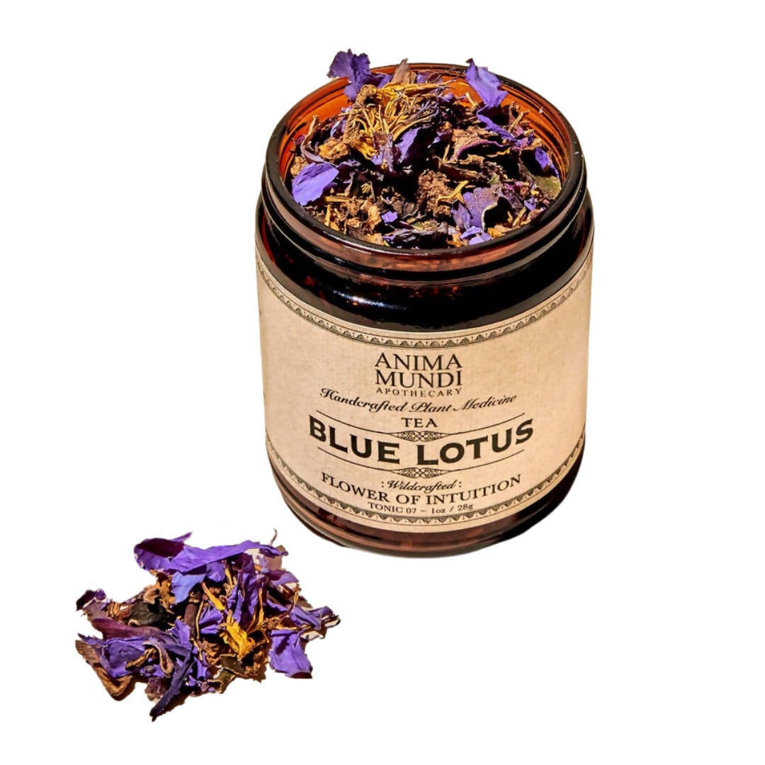 Blue Lotus Tea - 4 jars x 1oz