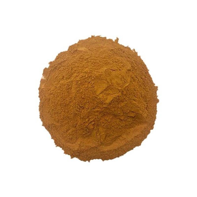 Cinnamon Indonesian Powder