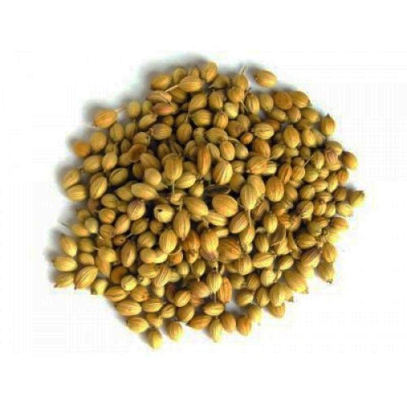 Coriander Seed Indian