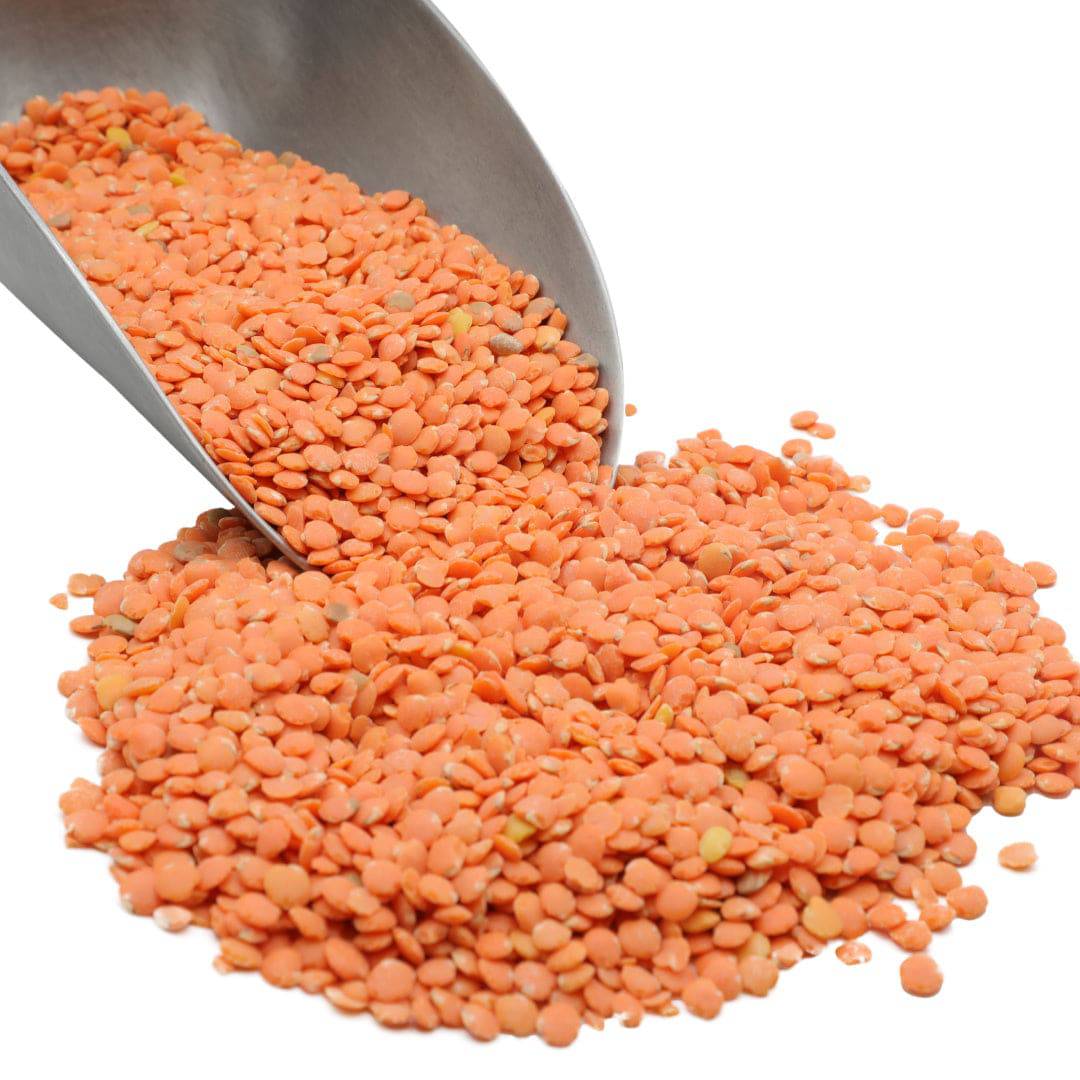 Red Lentils