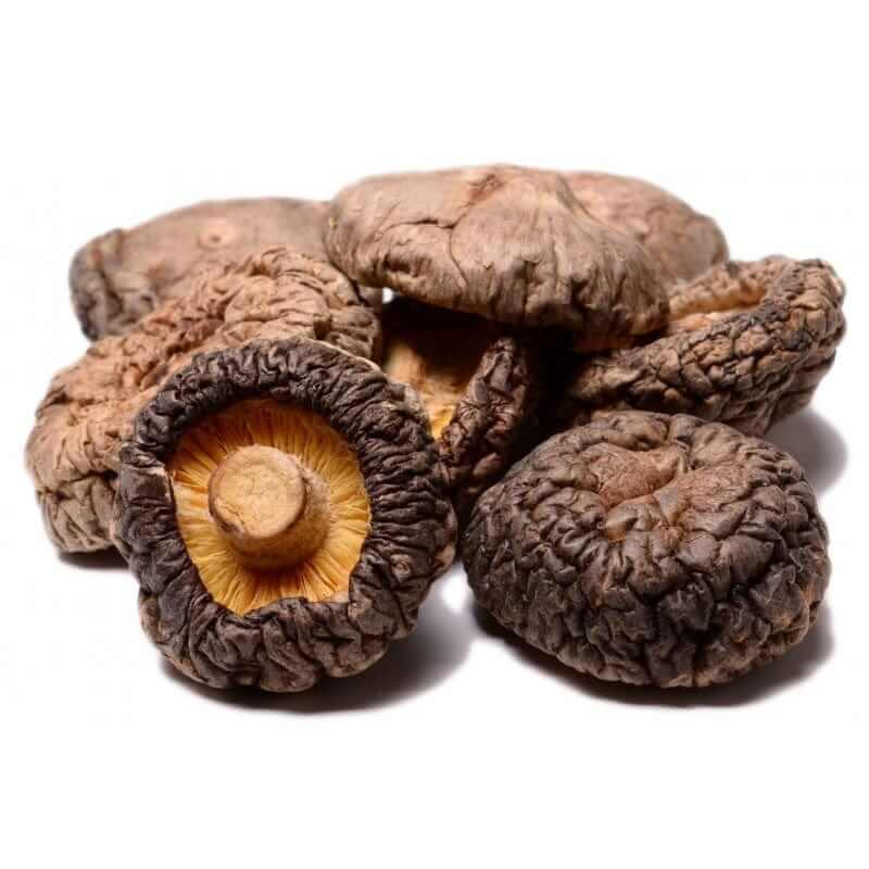 Buy Organic Mushrooms Dried - High Protein & Fiber