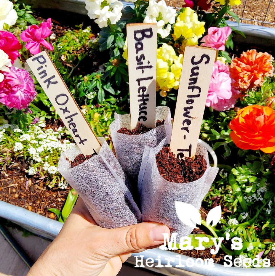 Bamboo Plant Labels - Long