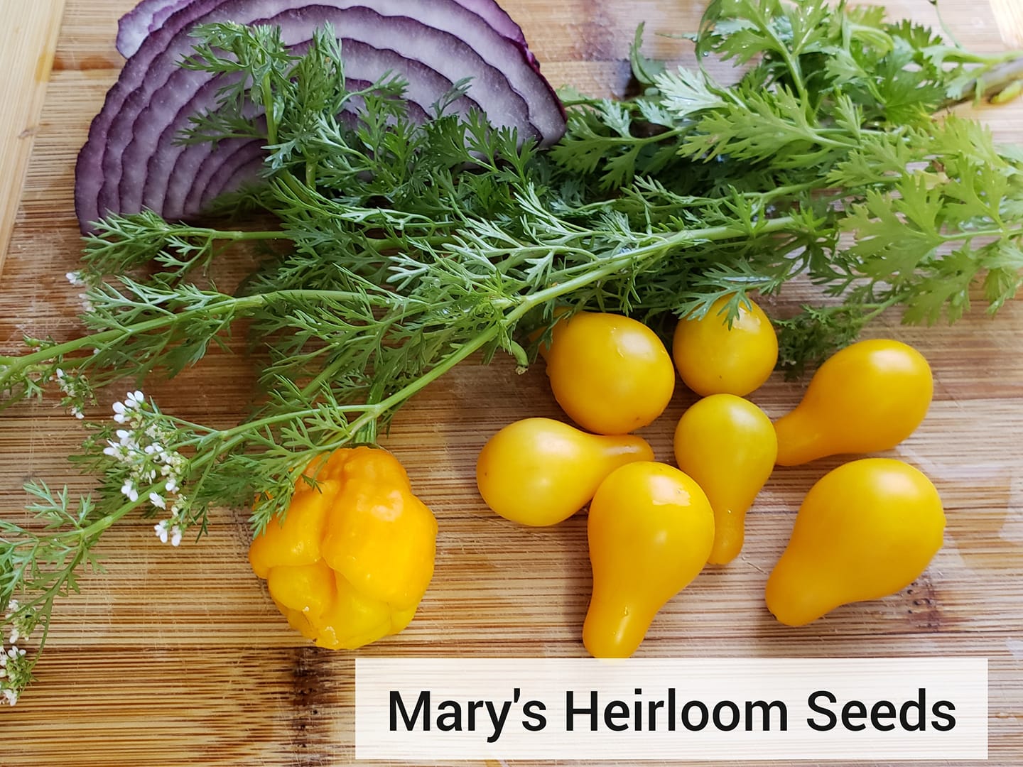 Fermented Pepper Salsa Garden Combo Pack