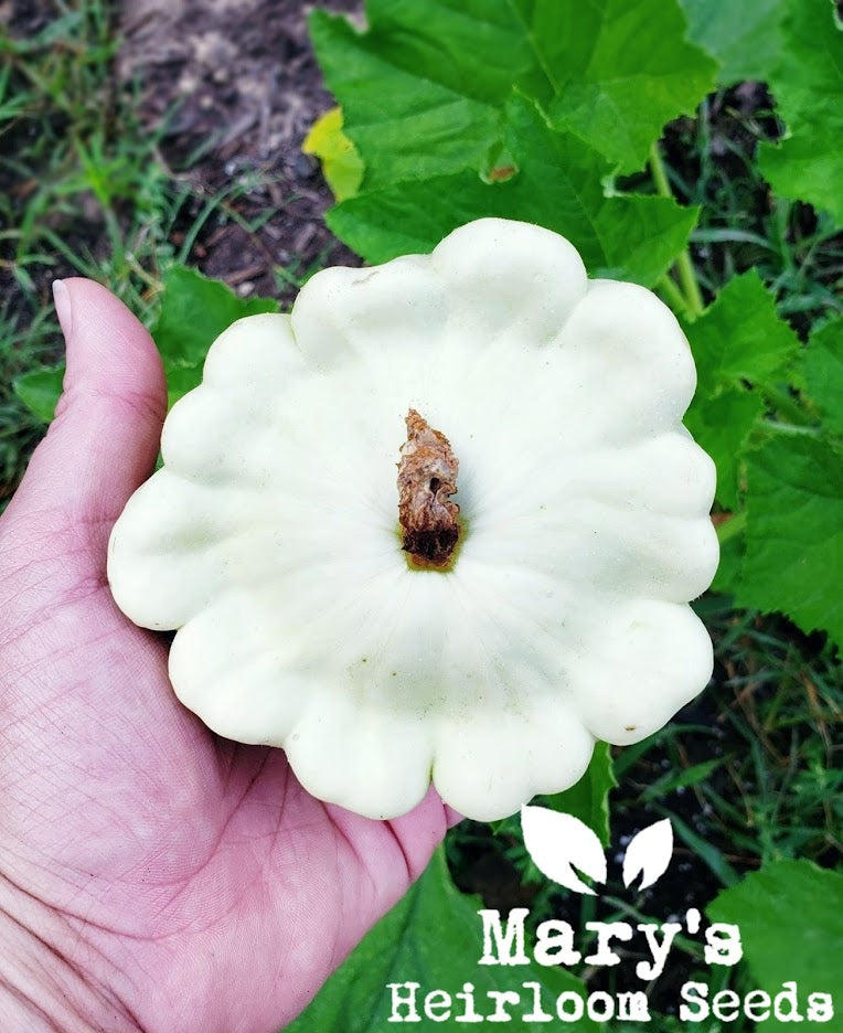 Mary's "Texas" Seeds combo pack